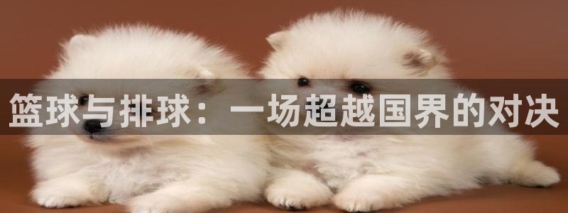 意昂平台登录方法：篮球与排球：一场超