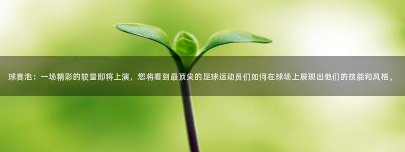 意昂体育网页登录入口入口官网网页版：