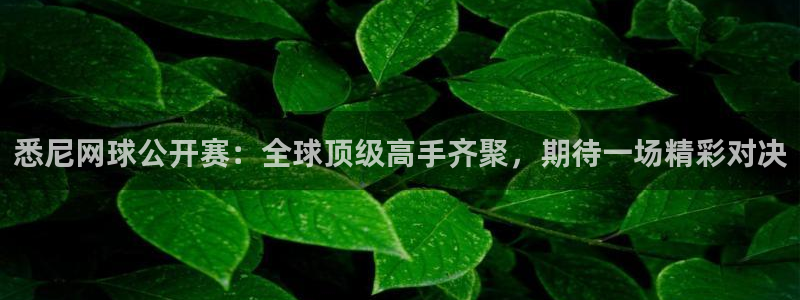 意昂平台登录入口最新版本介绍