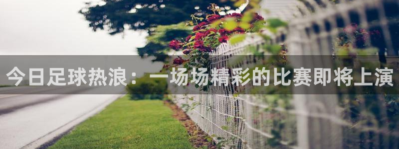 意昂体育app正版下载安装