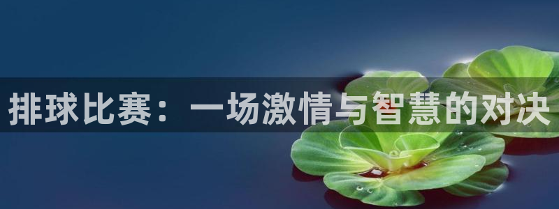 意昂平台：排球比赛：一场激情与智慧的