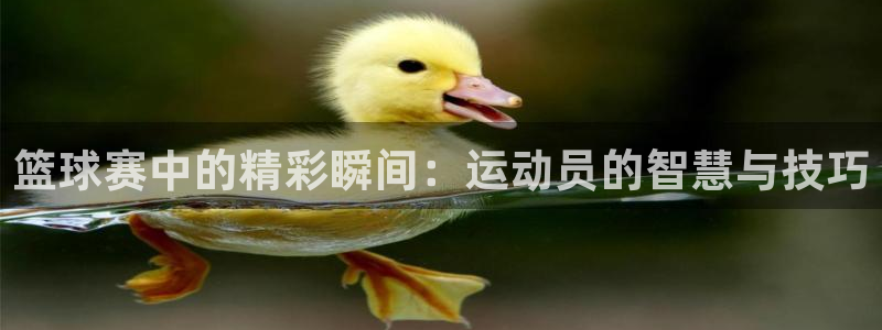 意昂平台：篮球赛中的精彩瞬间：运动员