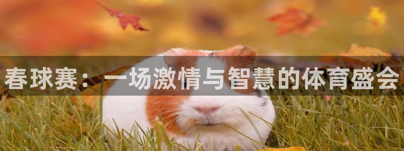 意昂平台登录入口最新版本介绍：春球赛