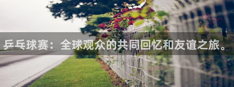 意昂体育app官方下载安装：乒乓球赛：全球观众的共同回忆和友