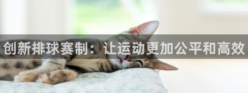 意昂登录：创新排球赛制：让运动更加公
