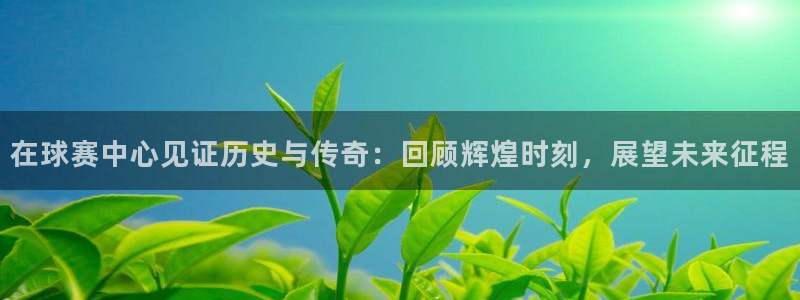 意昂体育app正版下载安装：在球赛中心见证历史与传奇：回顾辉