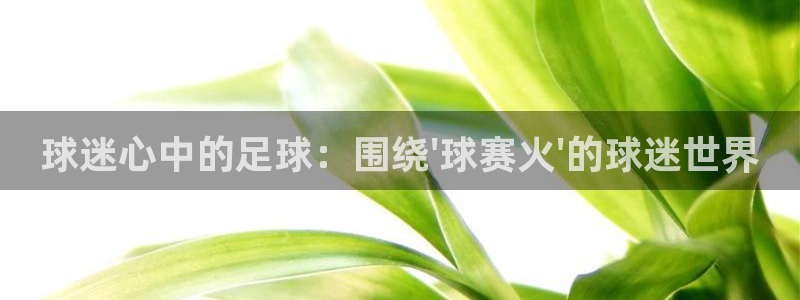  意昂平台官网：球迷心中的足球：围绕\'球赛火\'的球迷世界
