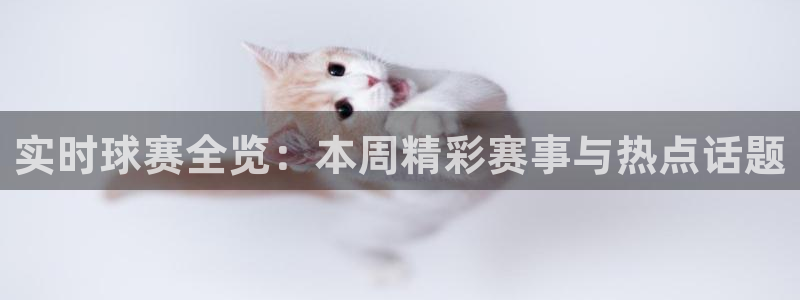 意昂体育app正版下载安装：实时球赛