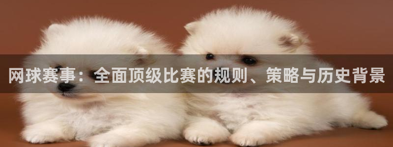 意昂平台登录方法：网球赛事：全面顶级