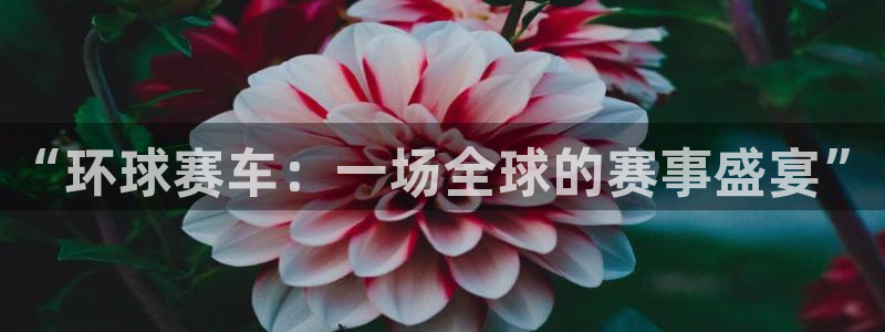  意昂平台app官方下载：“环球赛车：一场全球的赛事盛宴”