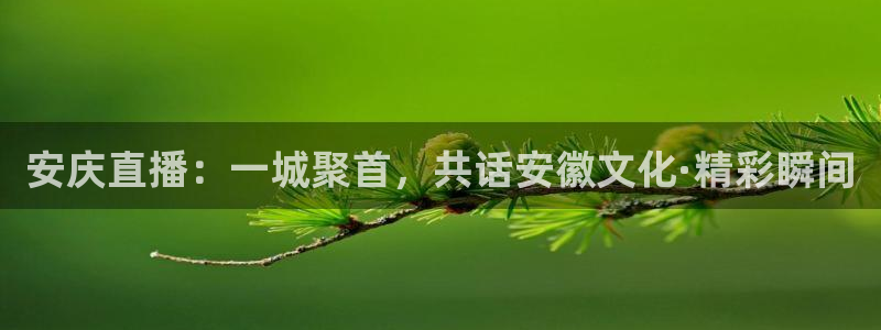 鲸鱼体育头狼直播间：安庆直播：一城聚首，共话安徽文化·精彩瞬间