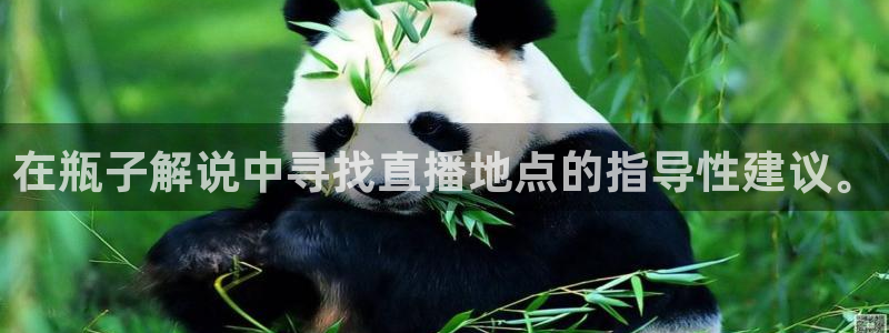 鲸鱼体育直播在线观看免费：在瓶子解说中寻找直播地点的指导性建议。
