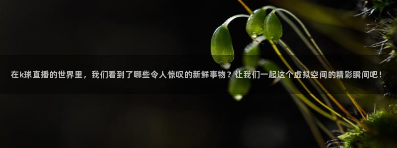鲸鱼体育高清直播：在k球直播的世界里，我们看到了哪些令人惊叹的新鲜事物？让我们一起这个虚拟空间的精彩瞬间吧！
