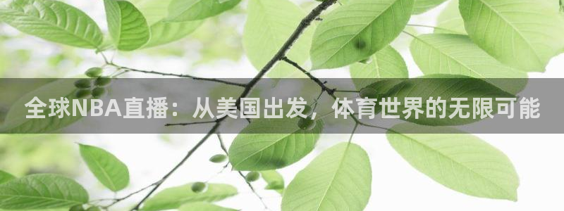 鲸鱼体育下载官方正版：全球NBA直播：从美国出发，体育世界的无限可能