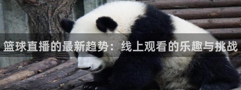鲸鱼体育下载官方正版：篮球直播的最新趋势：线上观看的乐趣与挑战