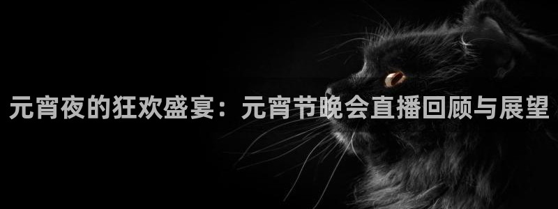 鲸鱼体育怎么看直播：元宵夜的狂欢盛宴：元宵节晚会直播回顾与展望