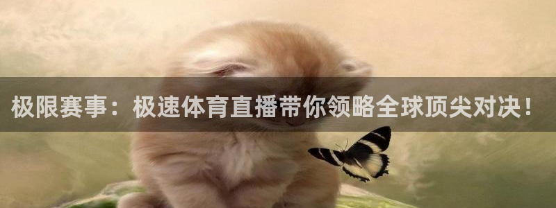 鲸鱼tv：极限赛事：极速体育直播带你领略全球顶尖对决！