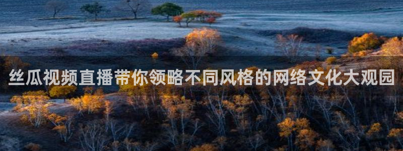 鲸鱼直播体育直播
