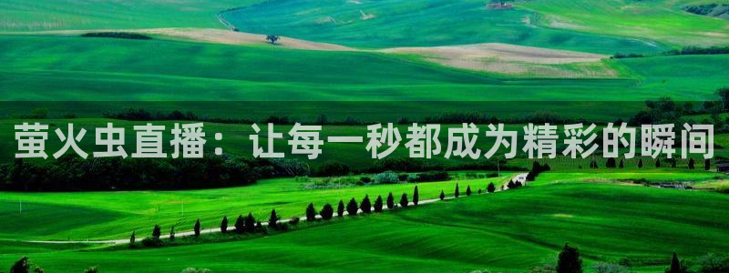 鲸鱼体育app下载安卓版本安装