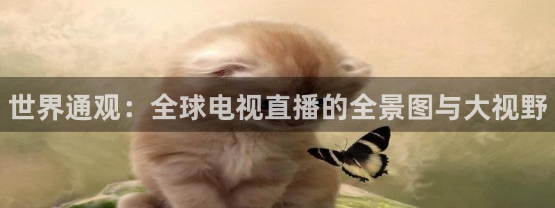 鲸鱼体育app下载