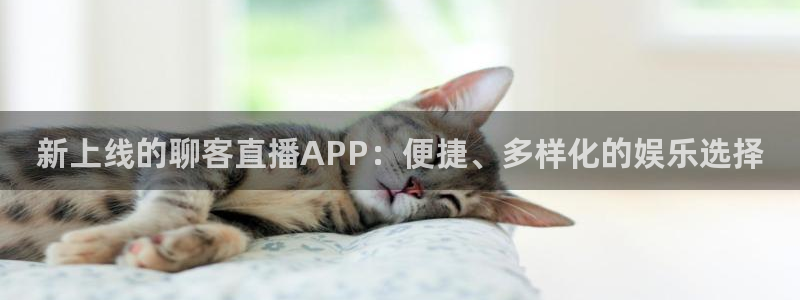 鲸鱼体育直播免费观看：新上线的聊客直播APP：便捷、多样化的娱乐选择
